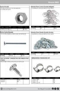 Catalogo 19